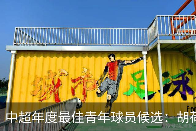中超年度最佳青年球员候选：胡荷韬、拜合拉木在列