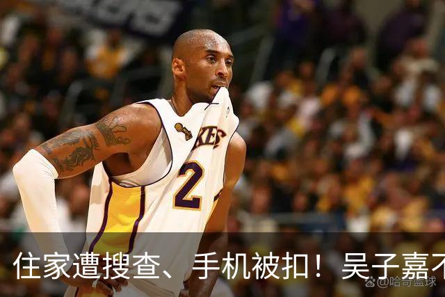 住家遭搜查、手机被扣！吴子嘉不忍了，宣布选后将有大动作
