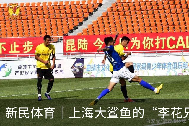 新民体育｜上海大鲨鱼的“李花兄弟”回来了！