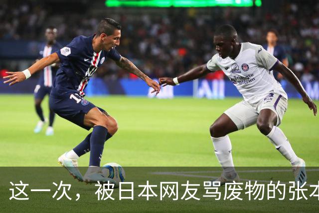 这一次，被日本网友骂废物的张本智和，终究为父母的荒唐买了单